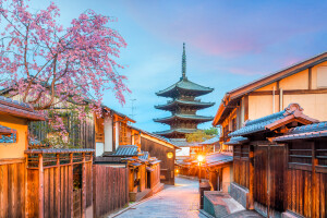 old town kyoto sakura season japan